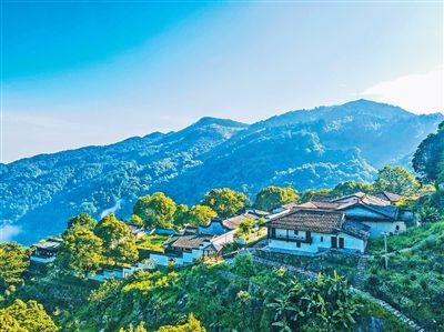 福建省闽清县梅溪镇桥东村保护古树群  古村落里有片“宝树林”（古树的故事）