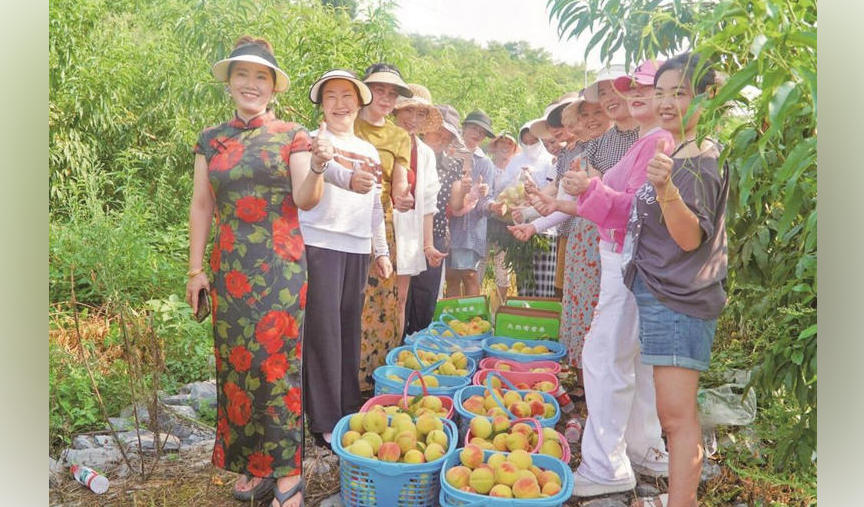 沿河曾家沟村：百亩荒坡梯田变“黄金果园”