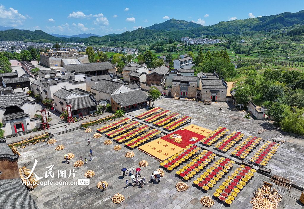 安徽黄山：古村晒秋忙 五彩映丰收