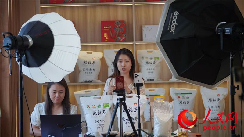 行进中国·高质量发展看新疆 从“一域发展”到“全局添彩”