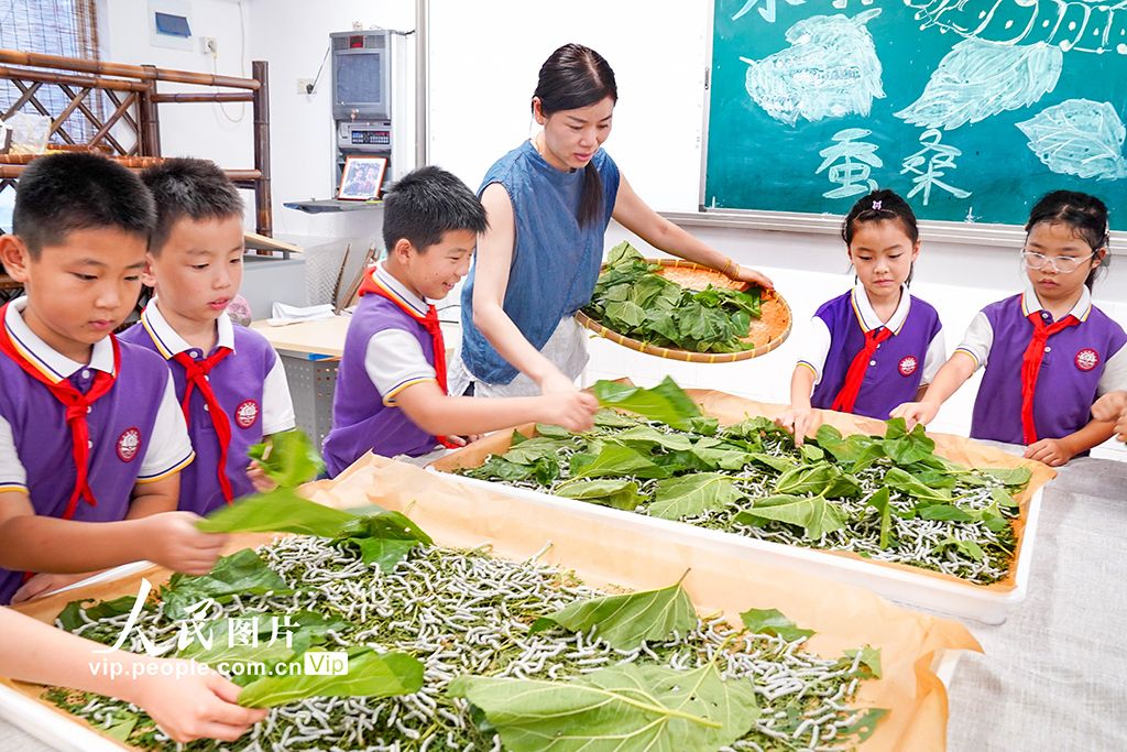 浙江安吉：桑蚕文化进校园