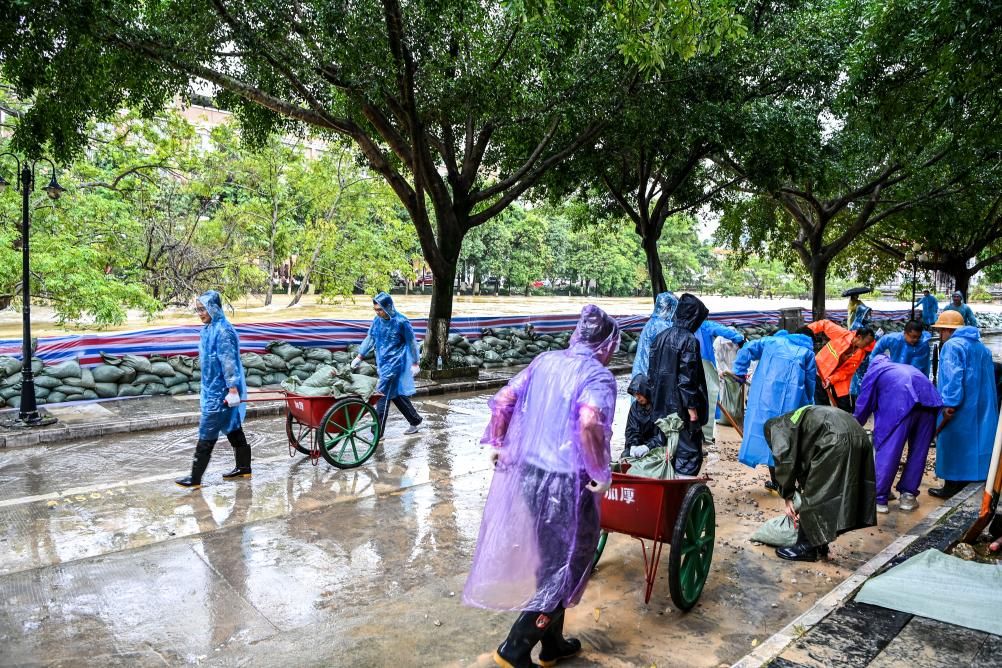 筑牢“安全堤” 织密“保障网”——广西百色防汛救灾一线见闻