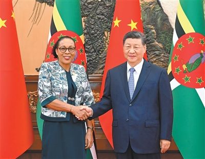 习近平会见多米尼克总统伯顿