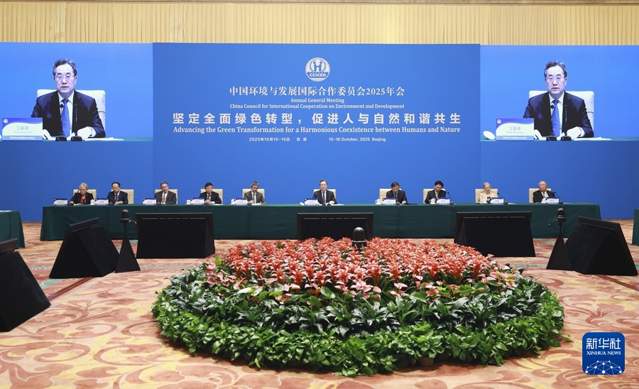 丁薛祥出席中国环境与发展国际合作委员会2025年年会并讲话
