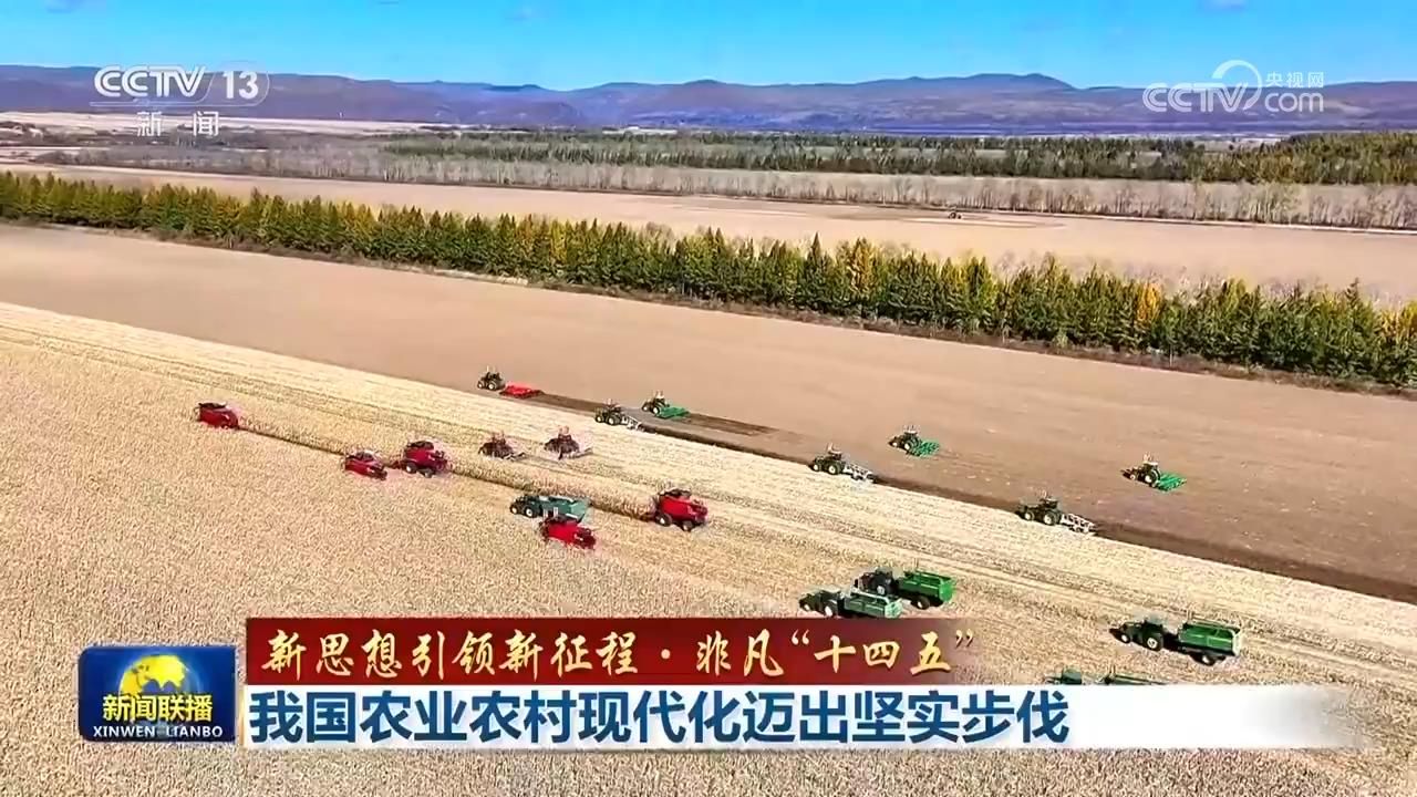 【新思想引领新征程·非凡“十四五”】我国农业农村现代化迈出坚实步伐