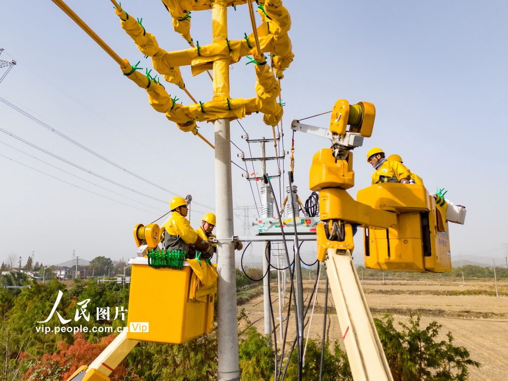 浙江德清：故障处置“加速度” 供电可靠“稳度冬”